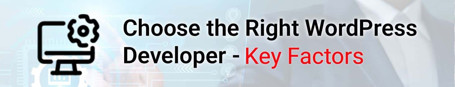 Hire a WordPress Developer